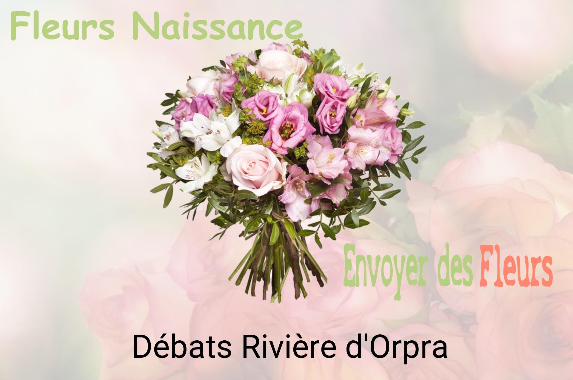 Bouquet de fleurs de naissance livré à Débats-Rivière-d'Orpra